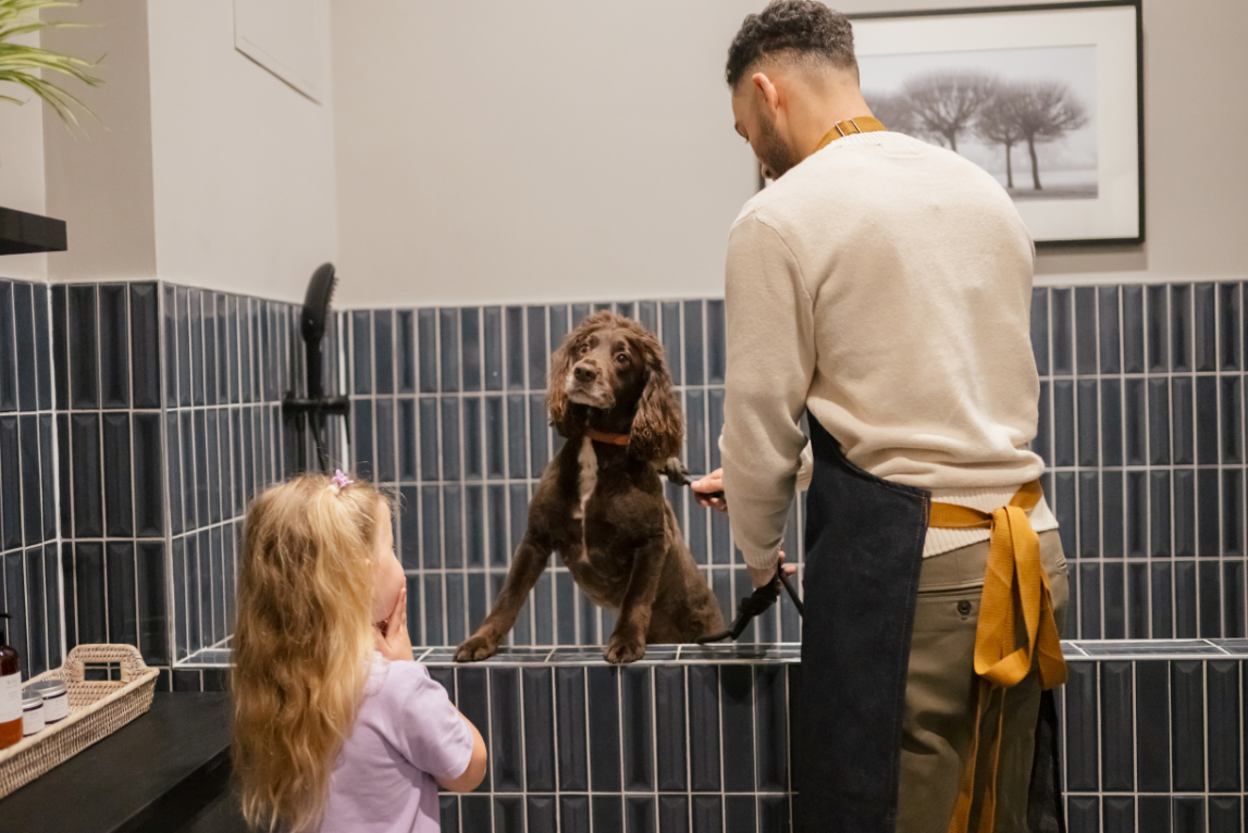 Your Guide to Pet-Friendly Renting in King’s Cross and Birmingham