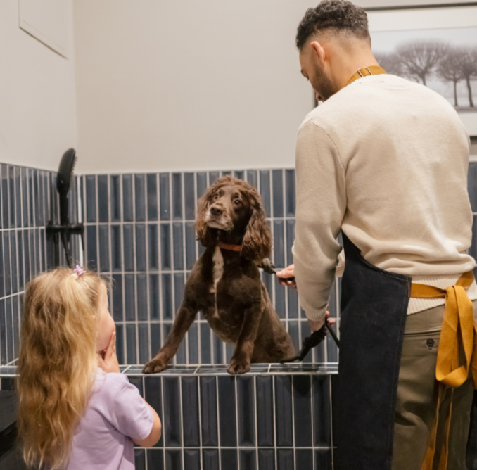 Your Guide to Pet-Friendly Renting in King’s Cross and Birmingham